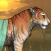 [Tigon] Tassled Veil 
